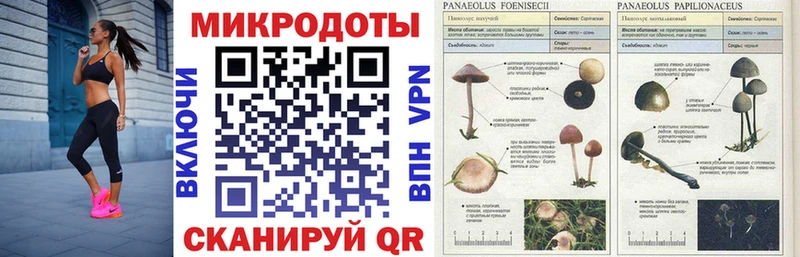 Галлюциногенные грибы Cubensis  Азнакаево 